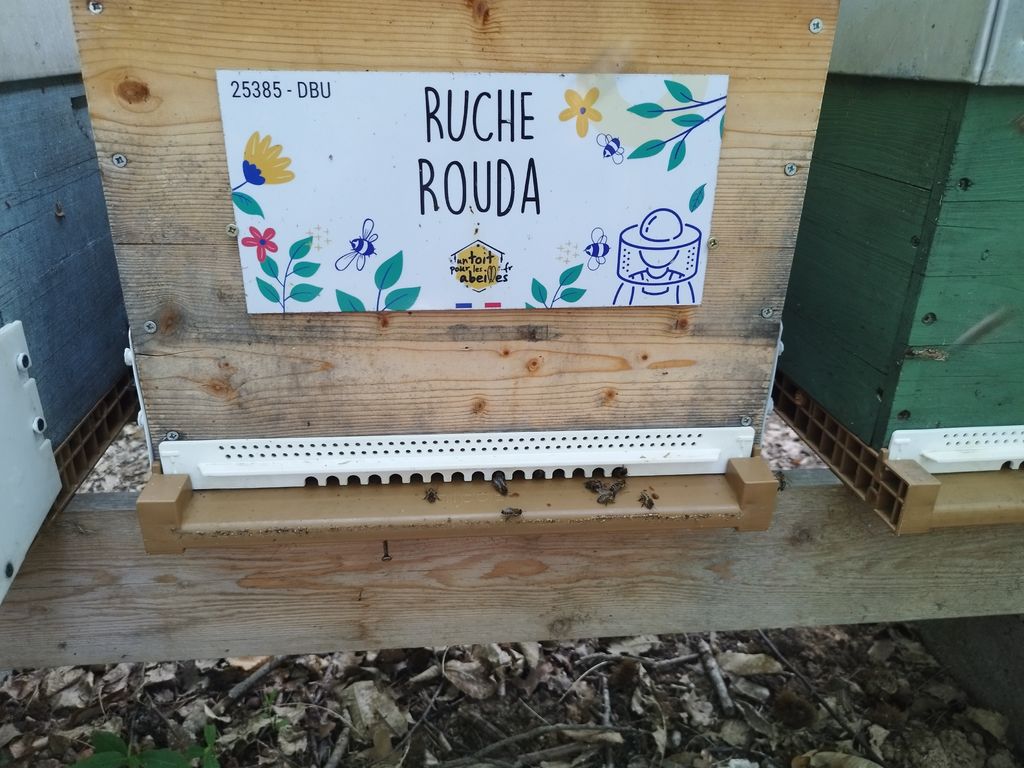 La ruche Rouda