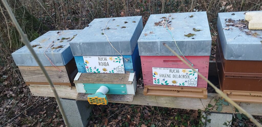 La ruche Rouda