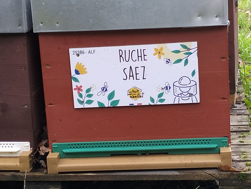 La ruche Saez