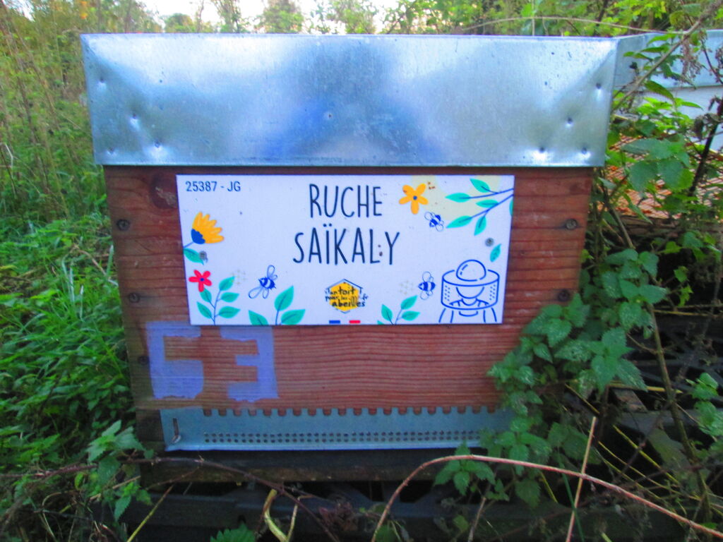 La ruche Saïkaly