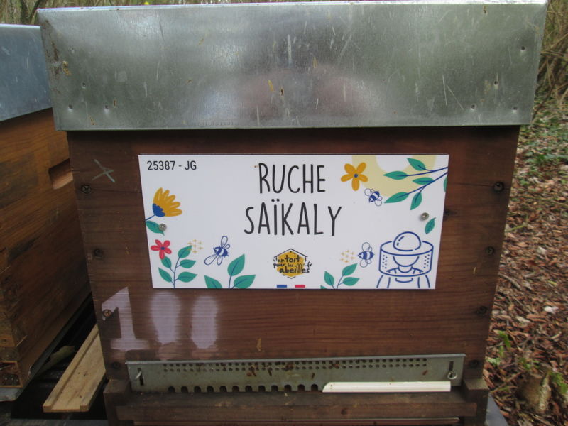 La ruche Saïkaly