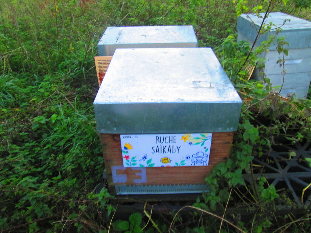 La ruche Saïkaly