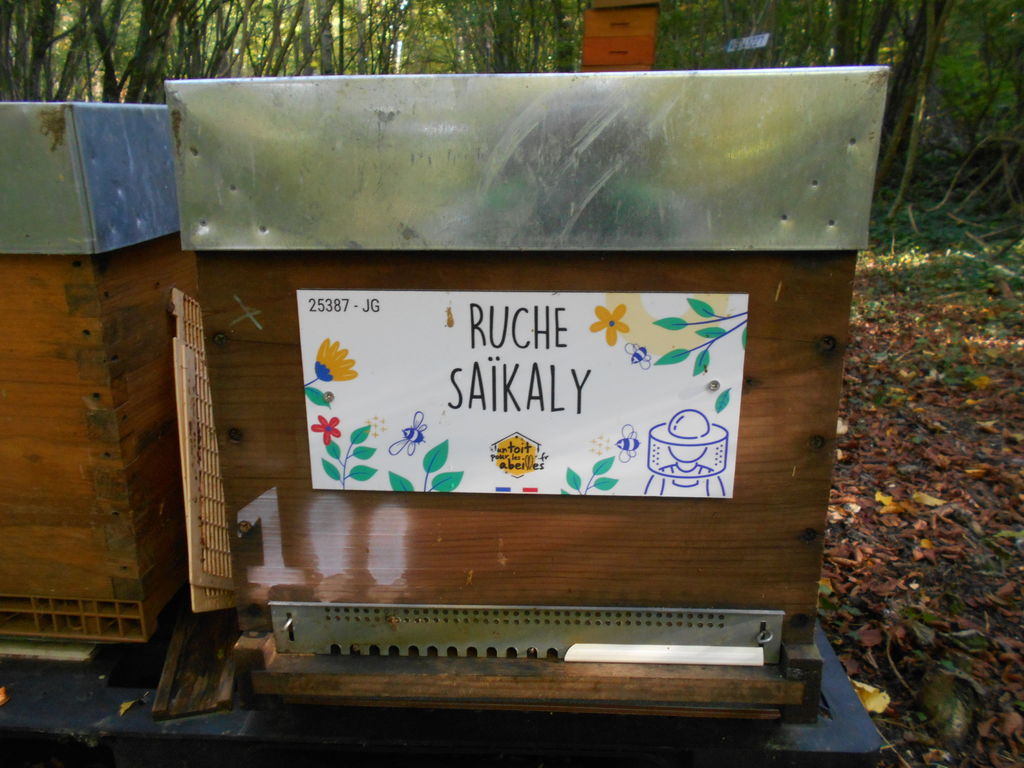 La ruche Saïkaly