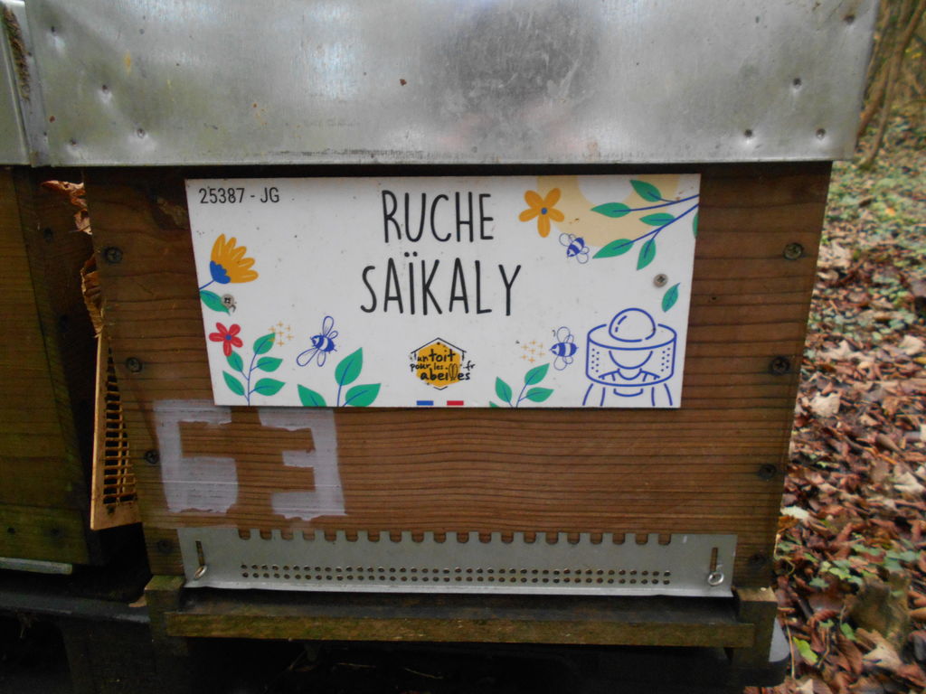 La ruche Saïkaly