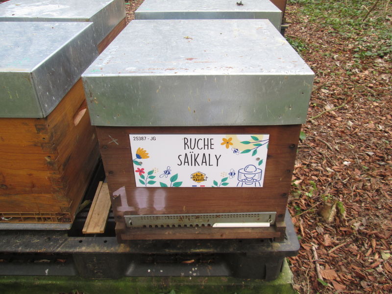 La ruche