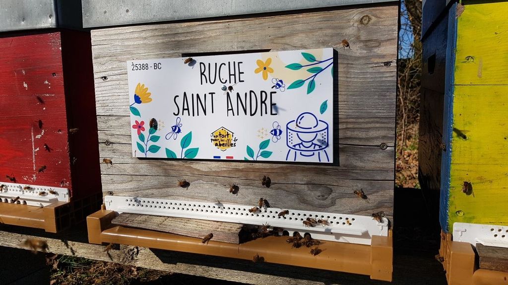 La ruche Saint André