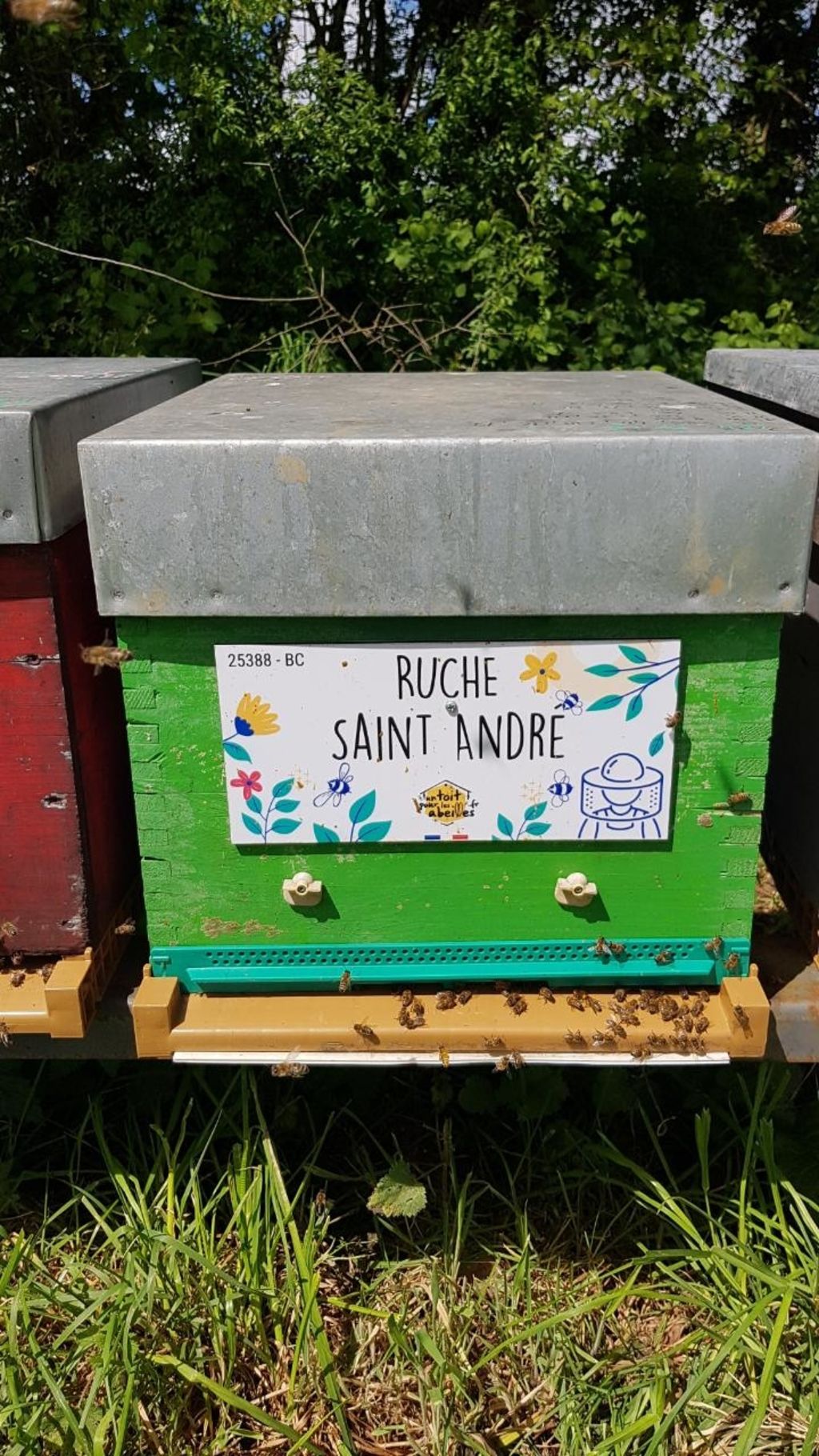 La ruche Saint André
