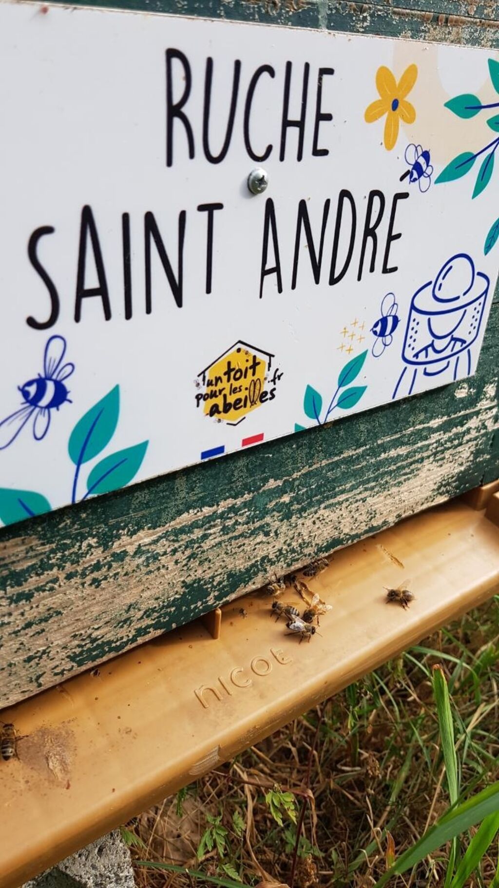 La ruche Saint André