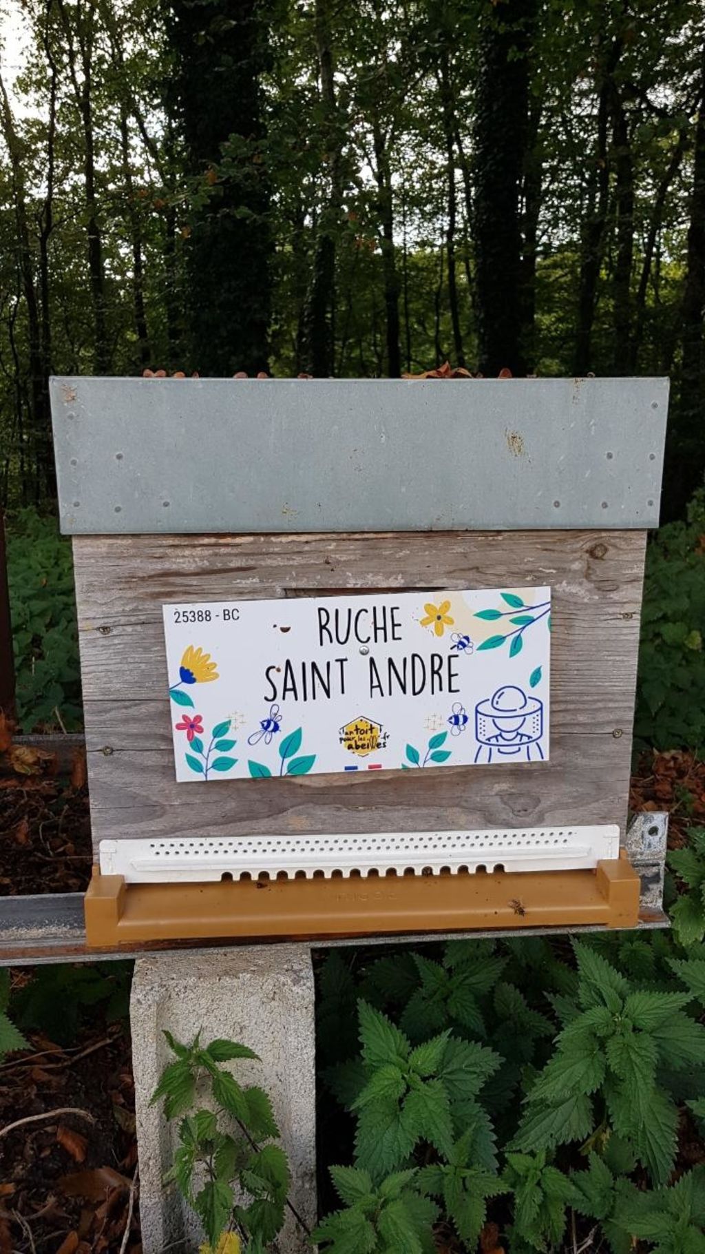 La ruche Saint André