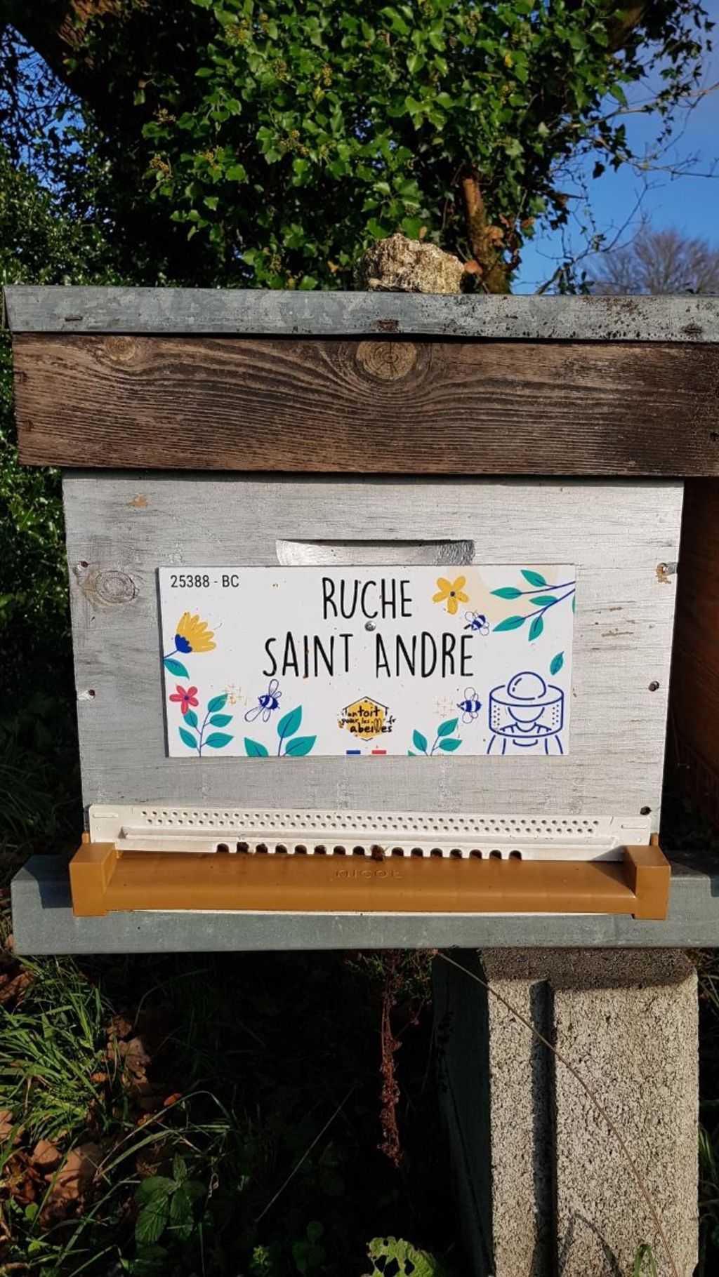 La ruche Saint André