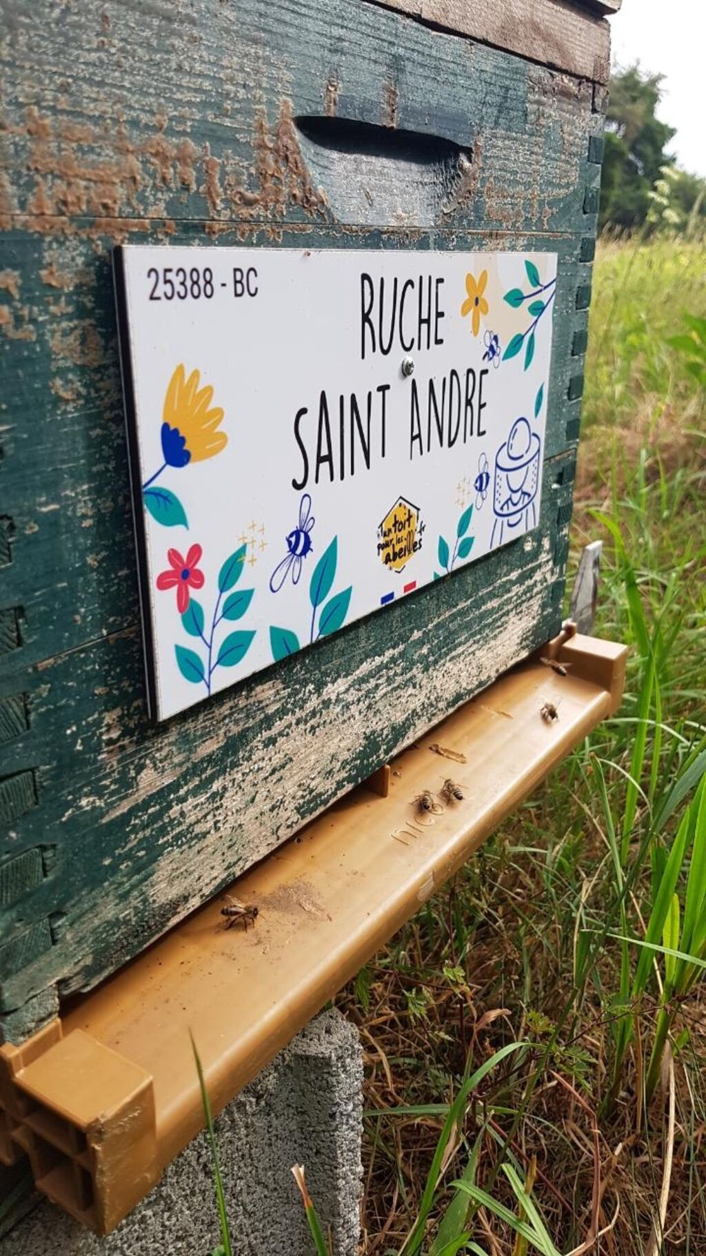 La ruche Saint André