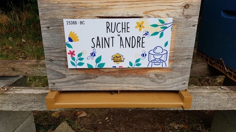 La ruche Saint André