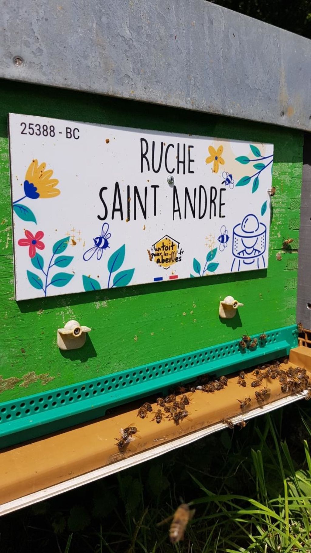 La ruche Saint André