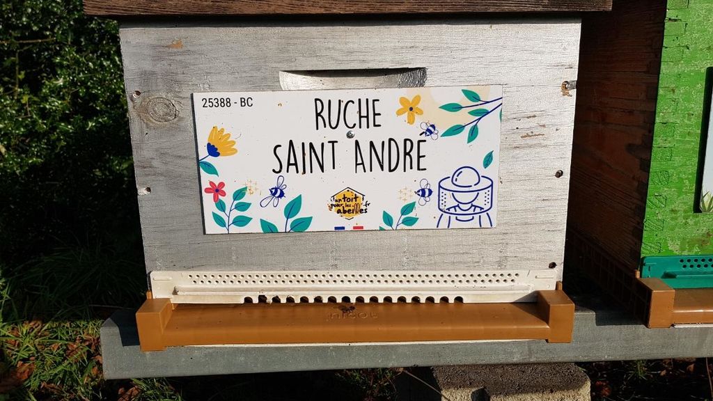 La ruche Saint André