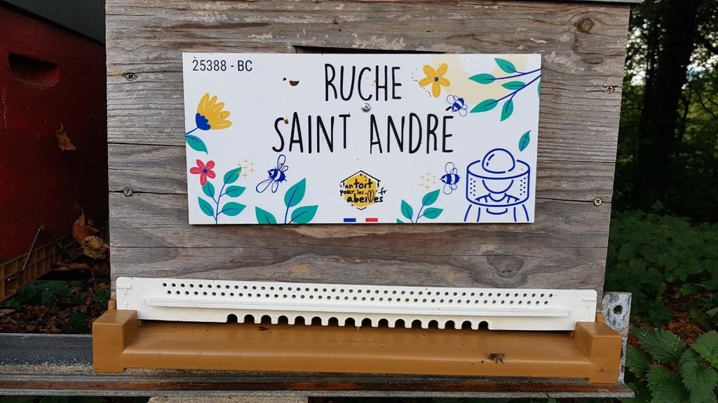 La ruche Saint André