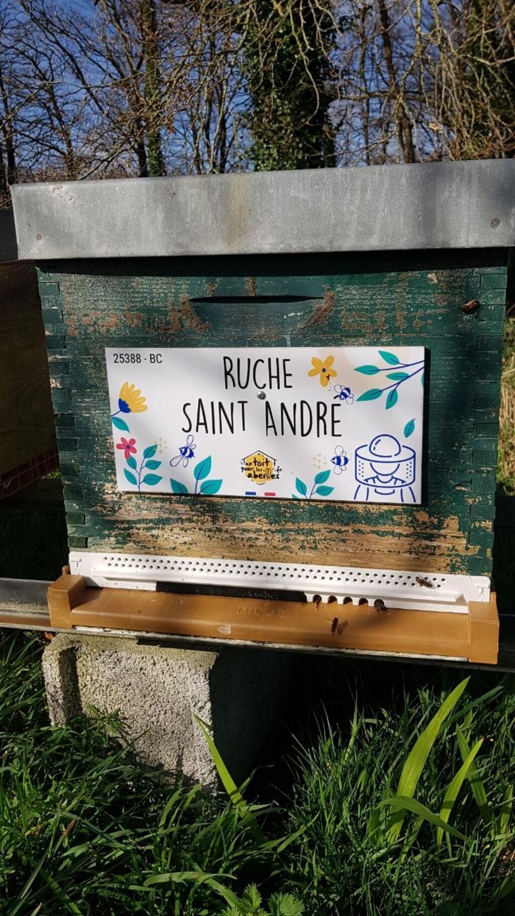 La ruche Saint André
