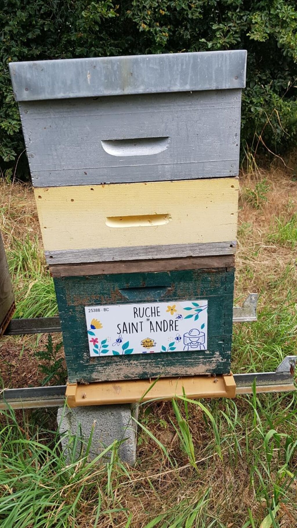 La ruche Saint André