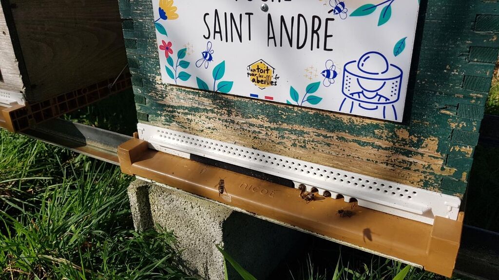 La ruche Saint André