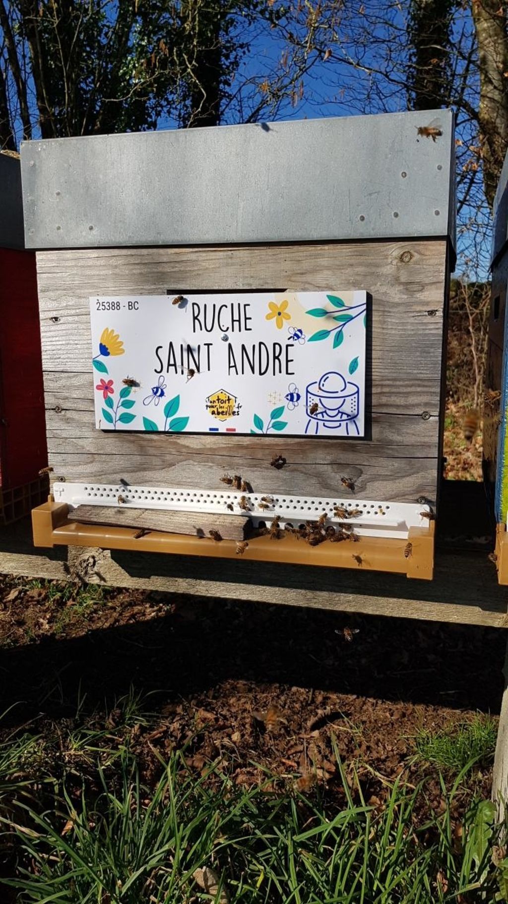 La ruche Saint André