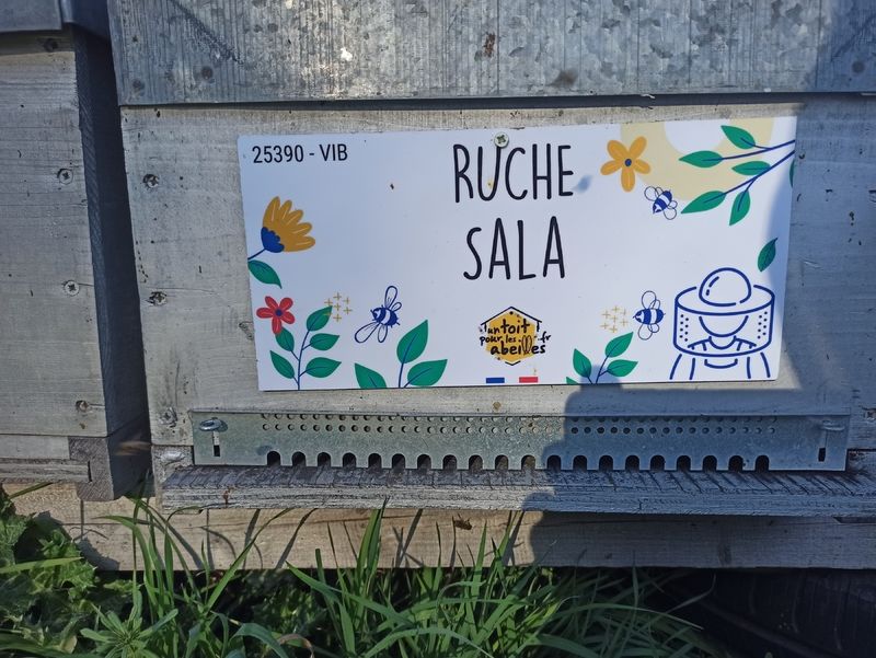 La ruche Sala