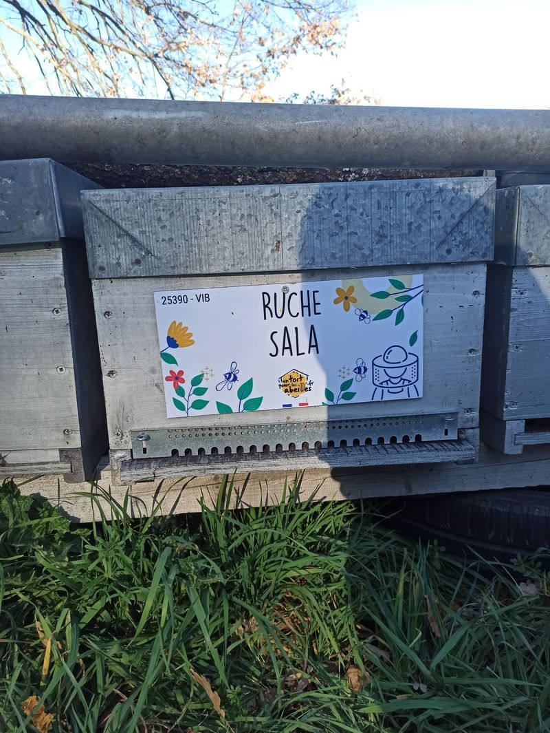 La ruche