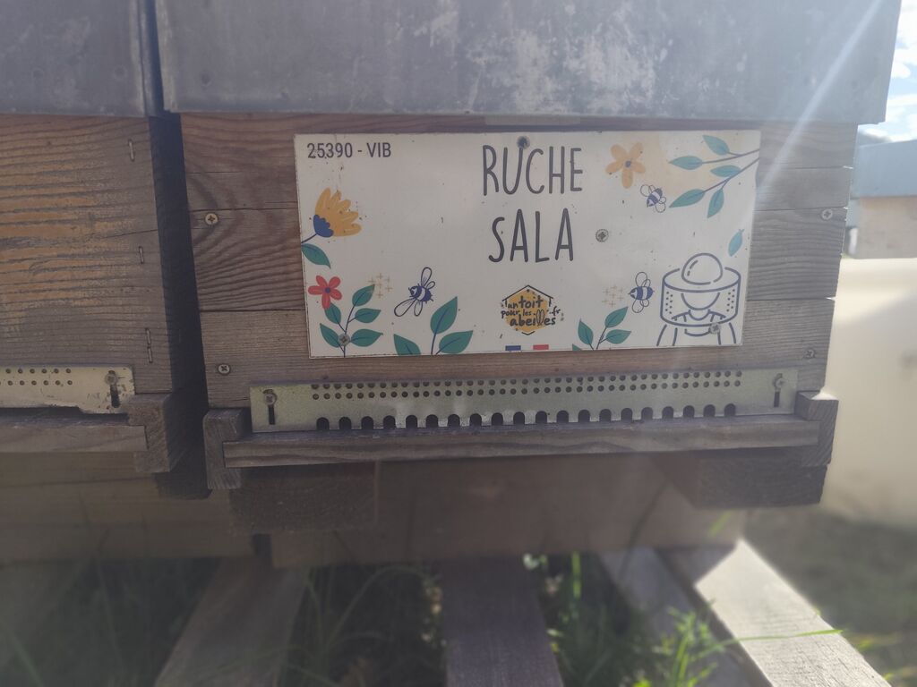 La ruche 