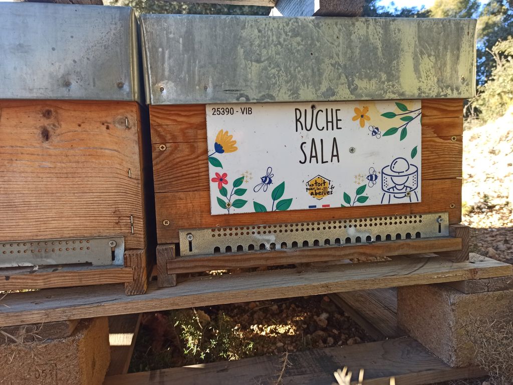 La ruche Sala