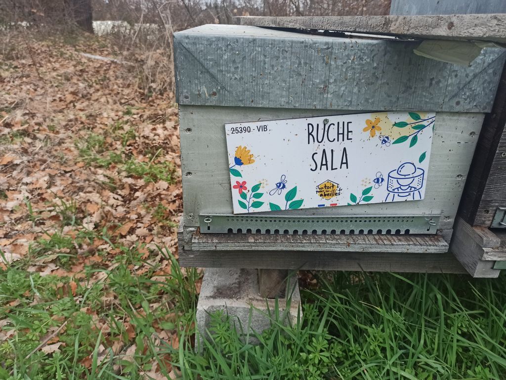 La ruche