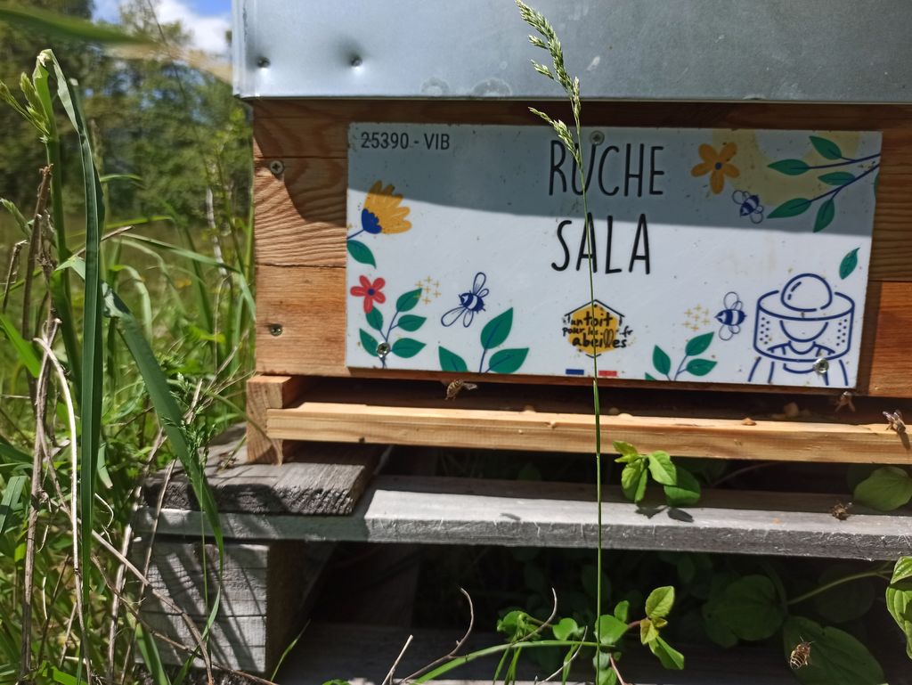 La ruche Sala