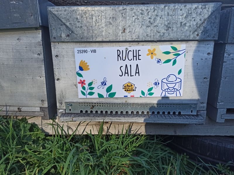 La ruche Sala