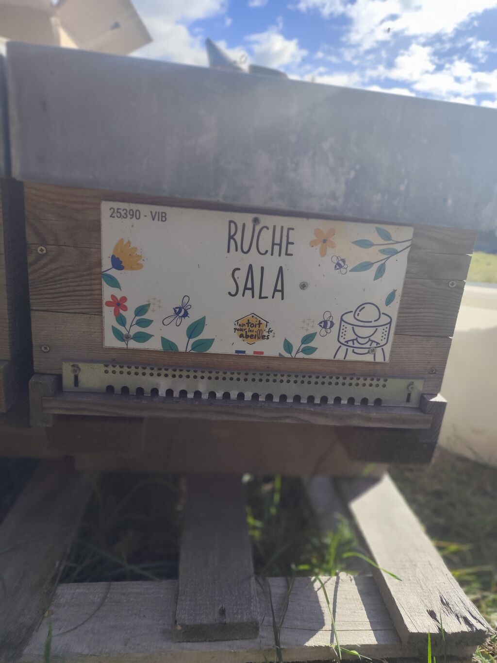 La ruche Sala