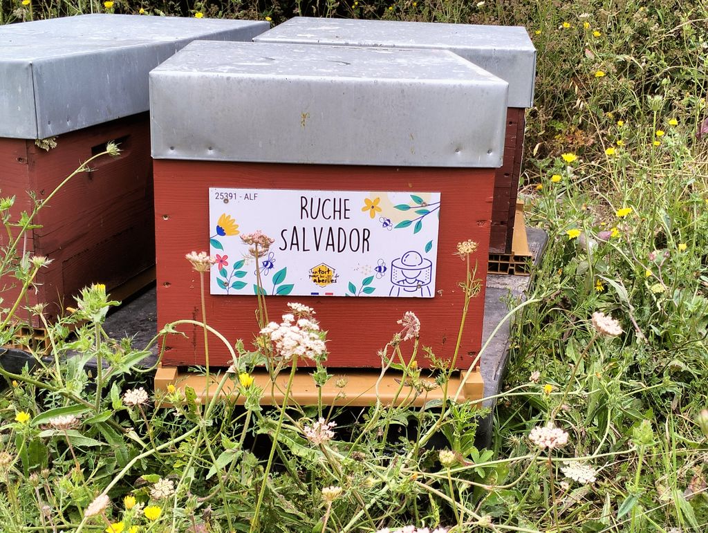 La ruche Salvador