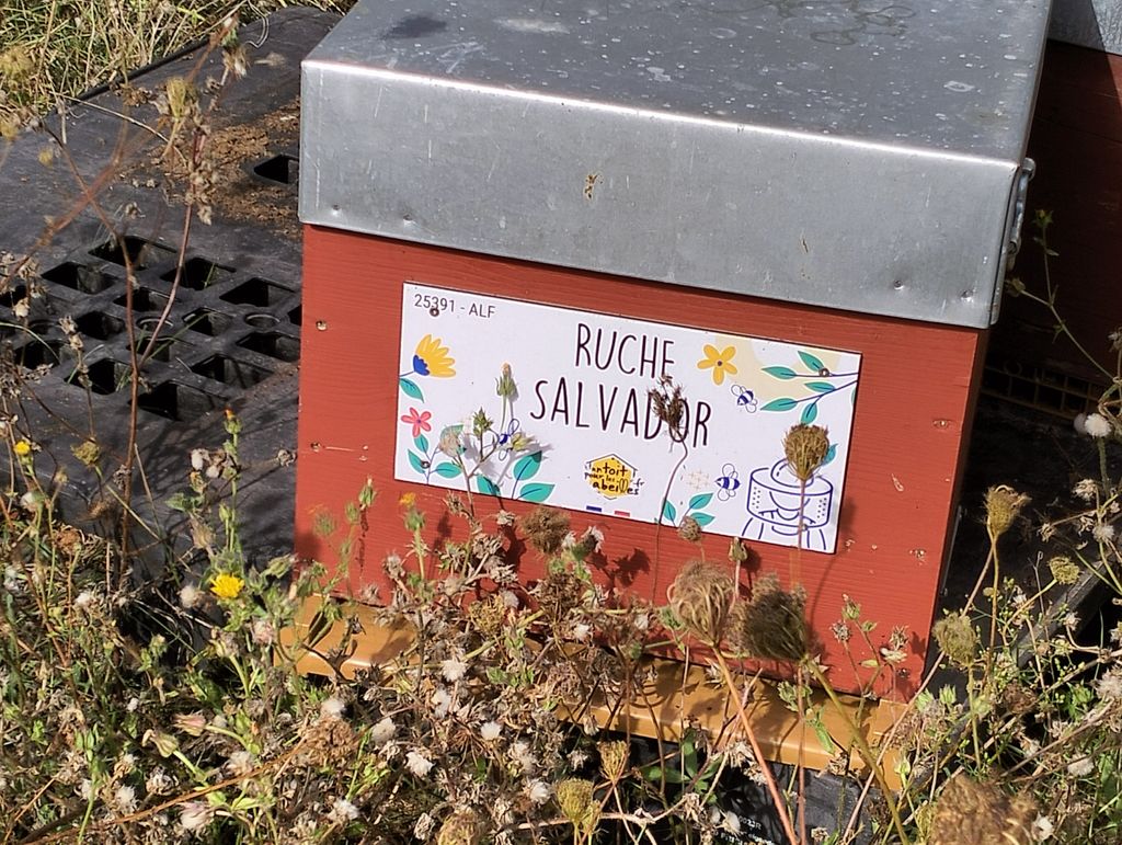 La ruche Salvador