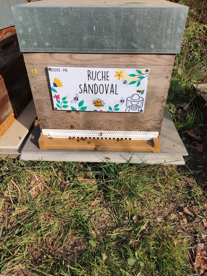 La ruche Sandoval