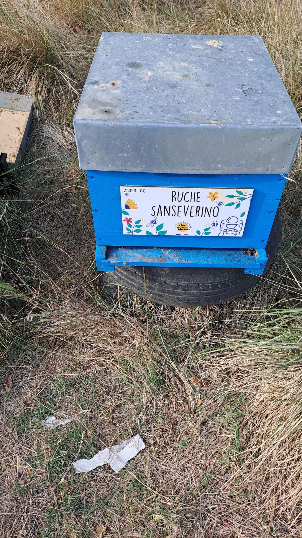 La ruche Sanseverino