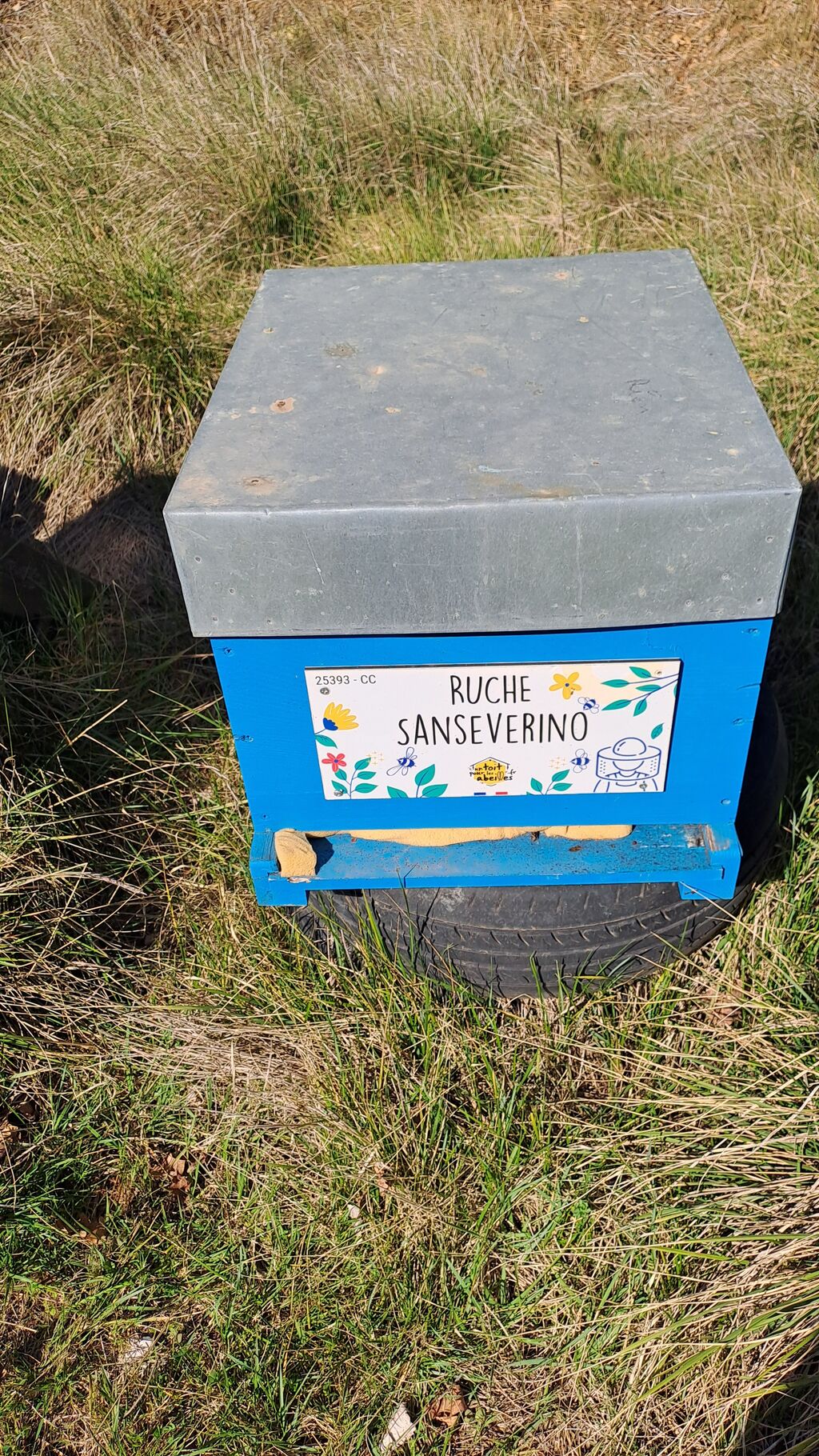 La ruche Sanseverino