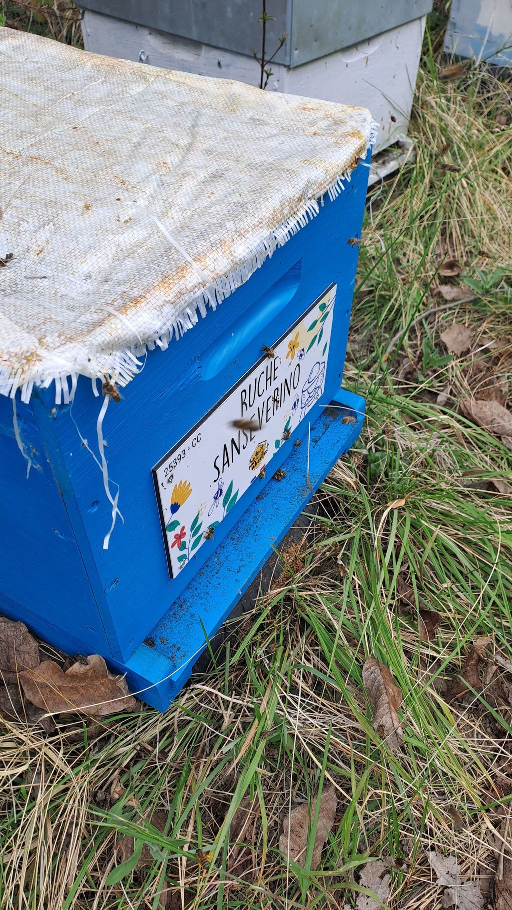 La ruche Sanseverino