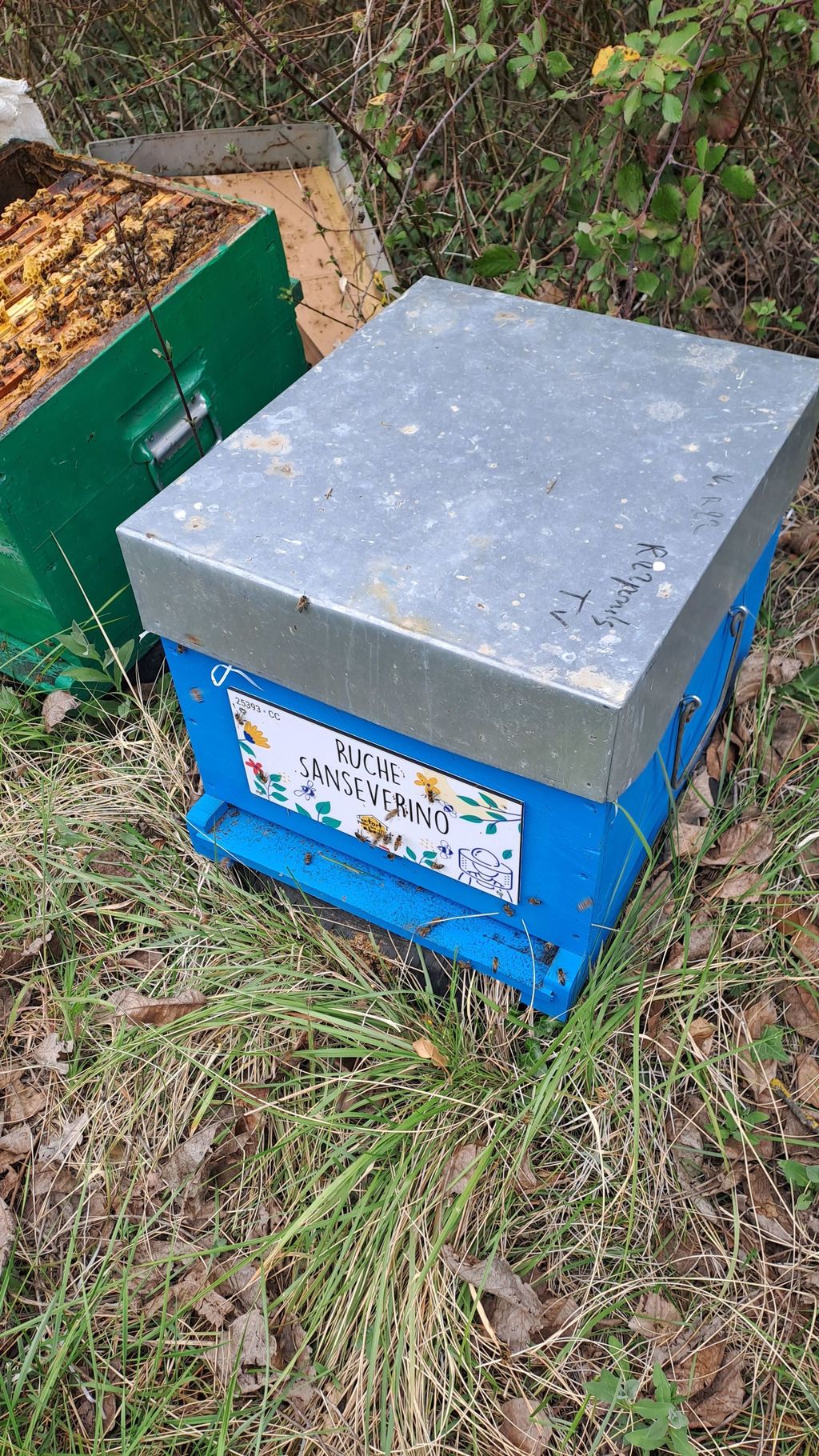 La ruche Sanseverino