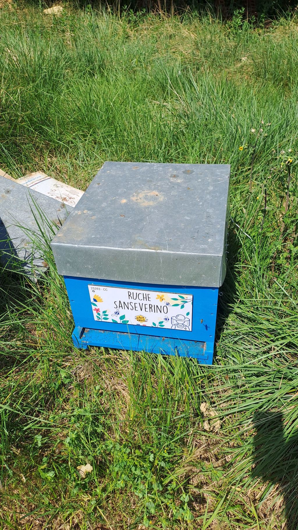 La ruche Sanseverino