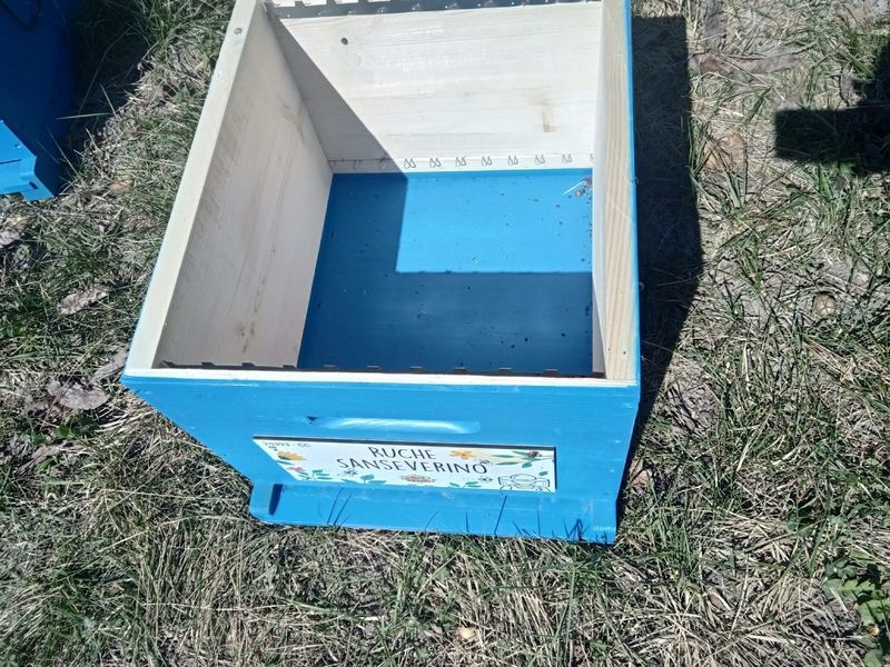 La ruche Sanseverino