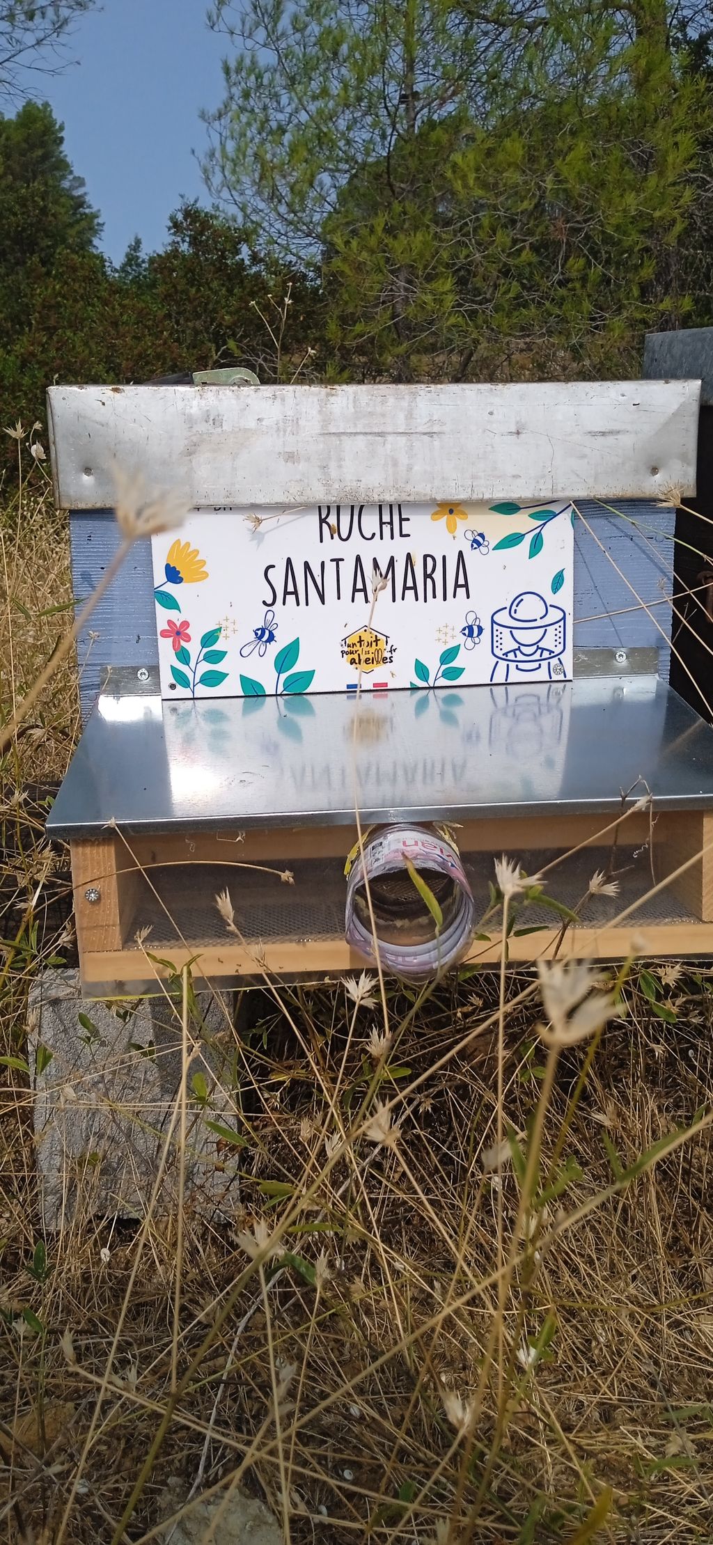 La ruche Santamaria