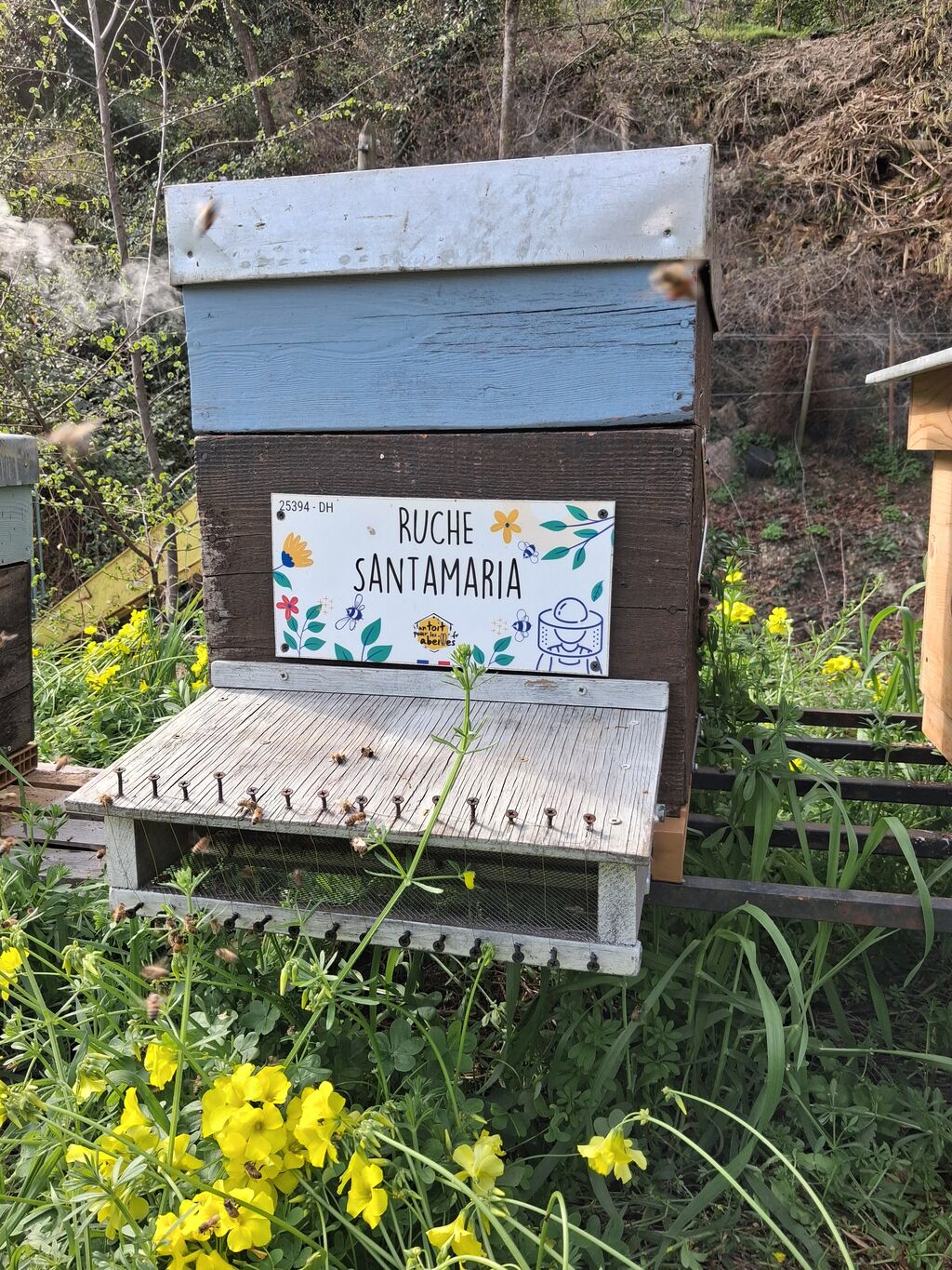La ruche Santamaria