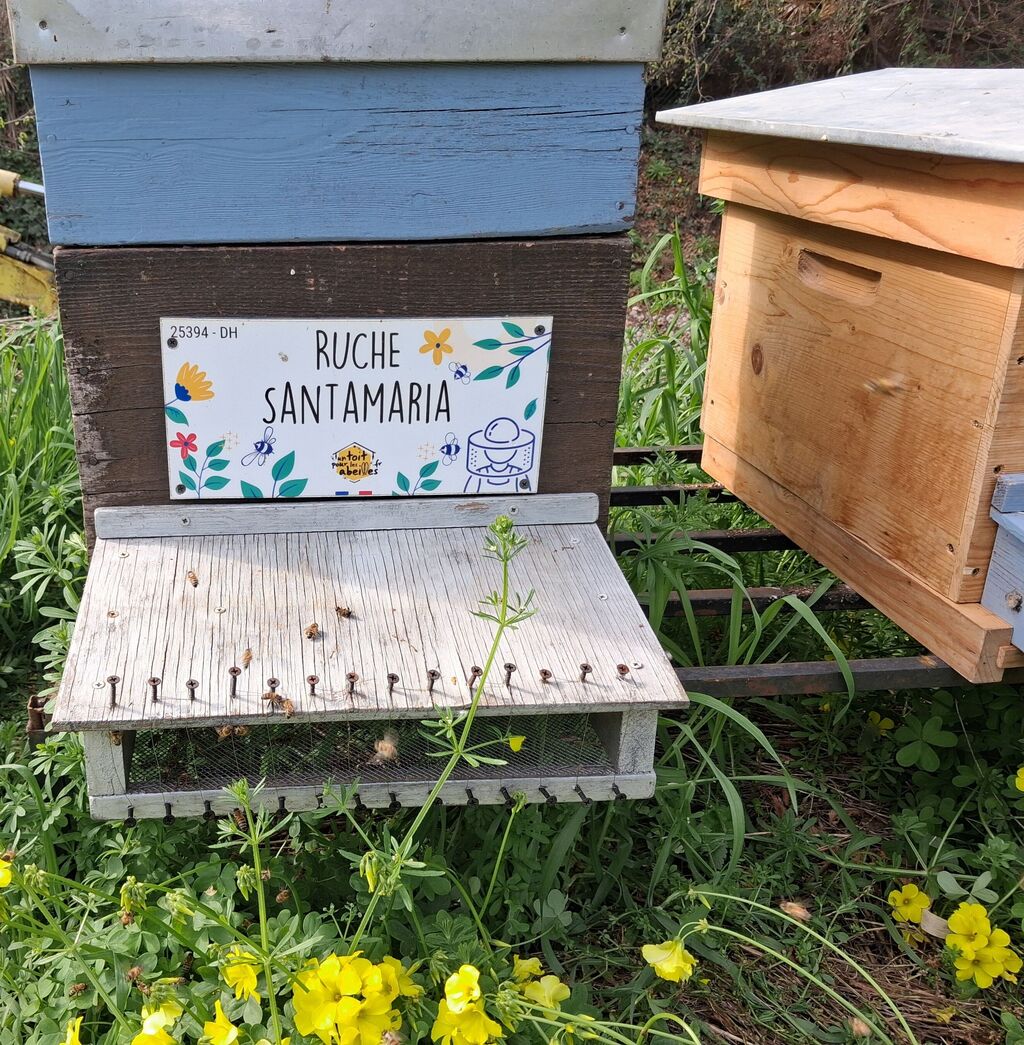 La ruche Santamaria