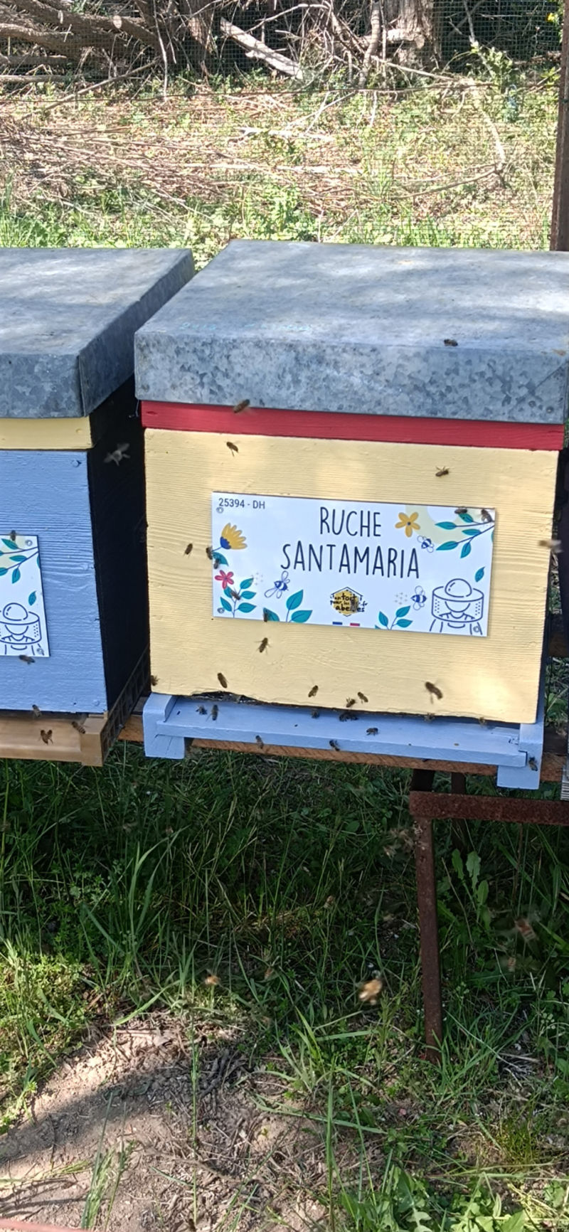La ruche Santamaria