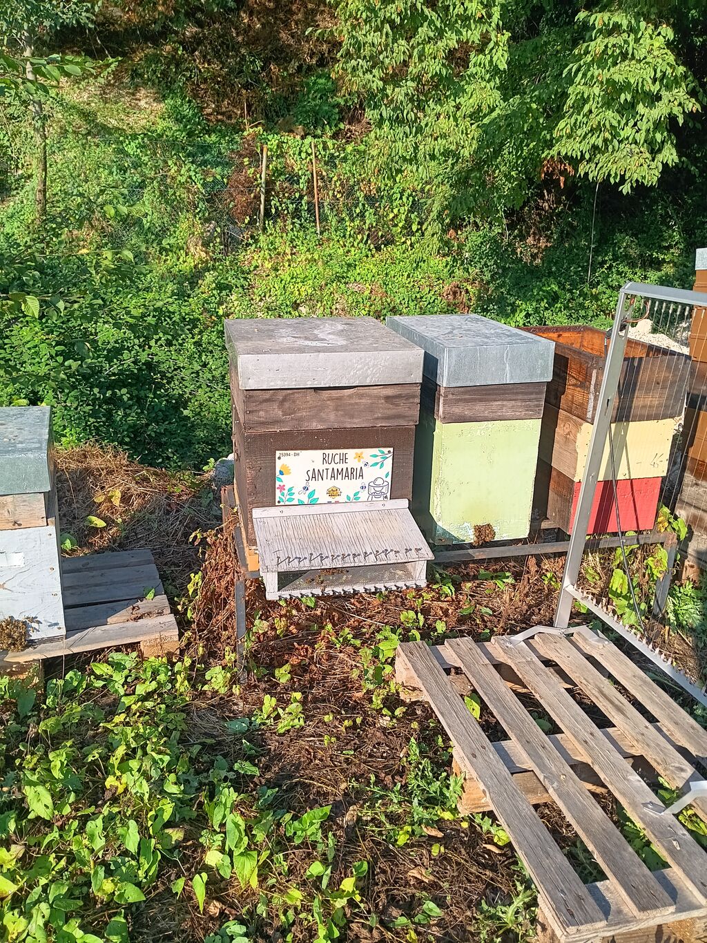 La ruche Santamaria