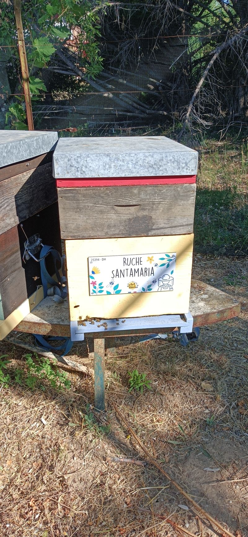 La ruche Santamaria