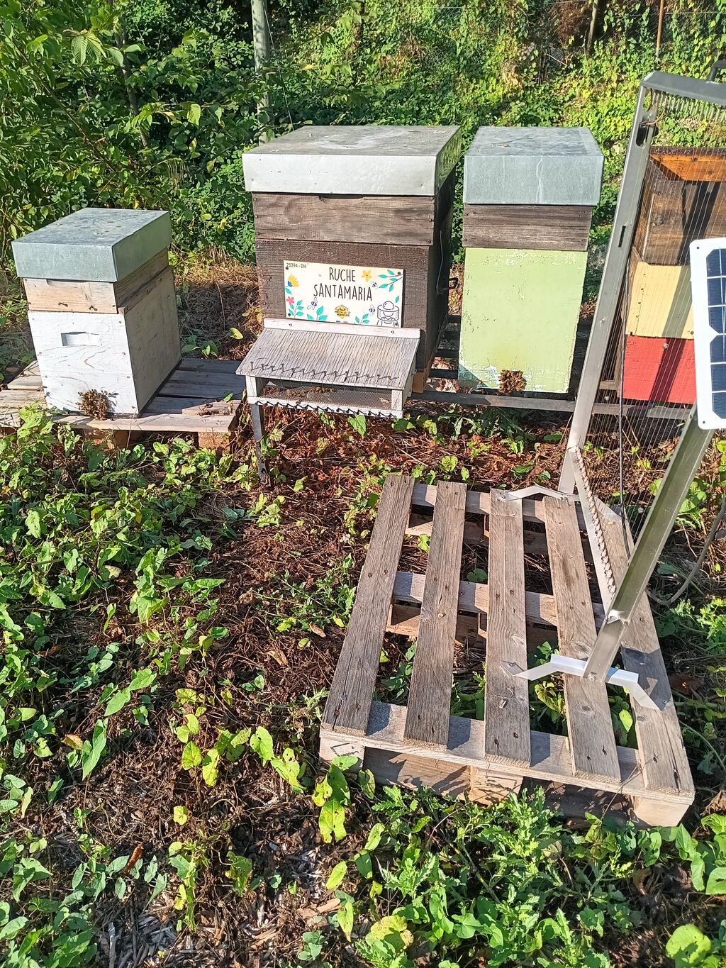La ruche Santamaria