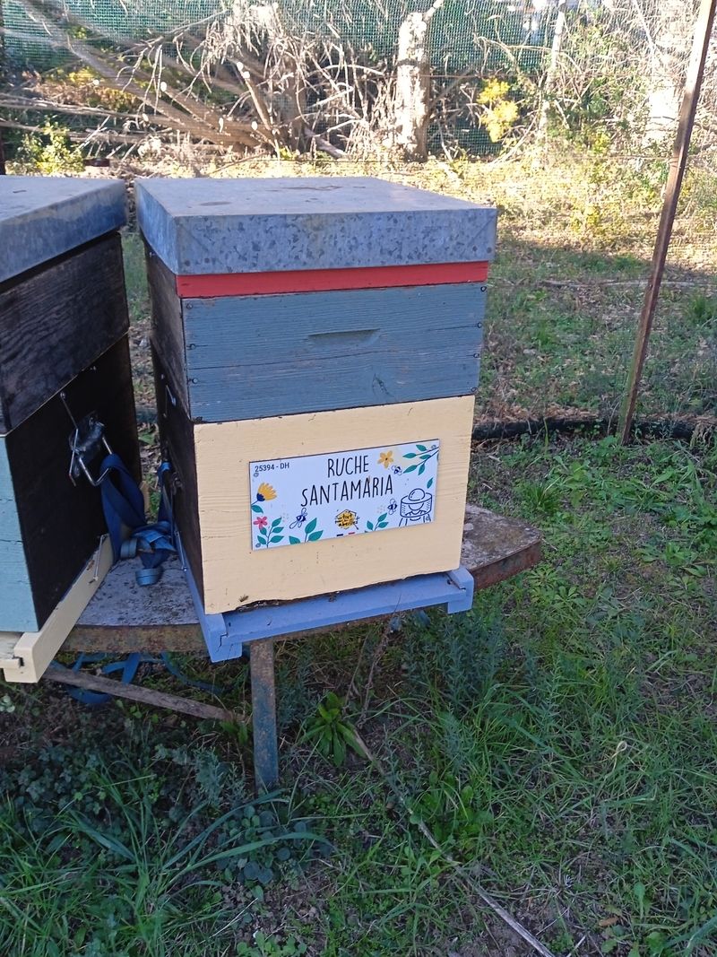 La ruche Santamaria