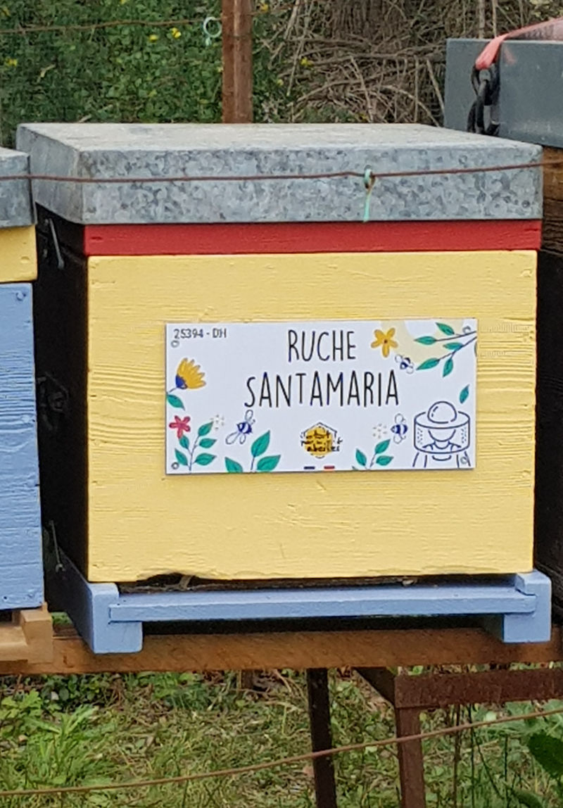 La ruche Santamaria