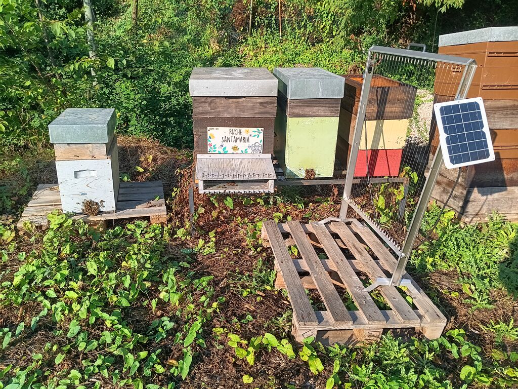 La ruche Santamaria